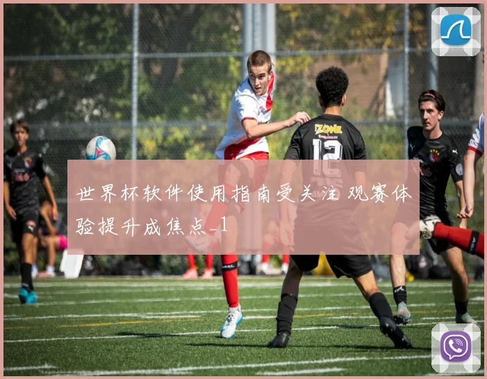 世界杯软件使用指南受关注 观赛体验提升成焦点_1