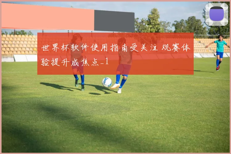 世界杯软件使用指南受关注 观赛体验提升成焦点_1