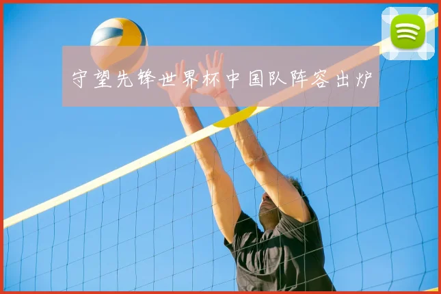 守望先锋世界杯中国队阵容出炉